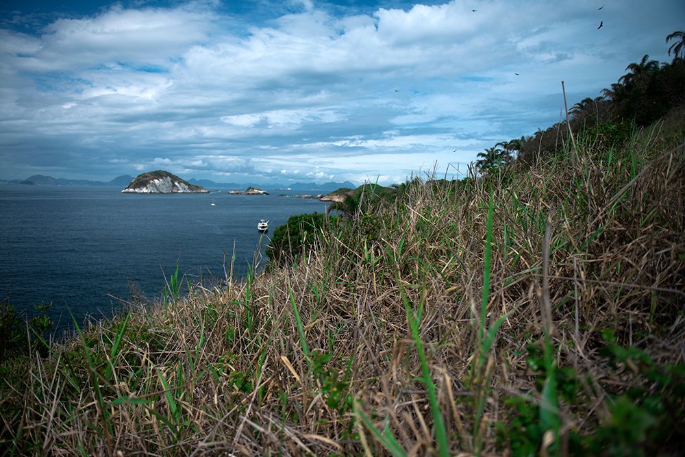 Monumento Natural das Ilhas Cagarras, RJ, imagem do-capim no Monumento Natural das Ilhas Cagarras