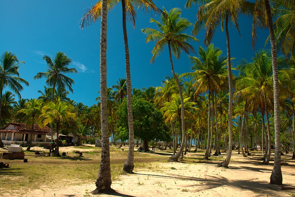  Barra velha, caravelas, Bahia - Resex Cassurubá