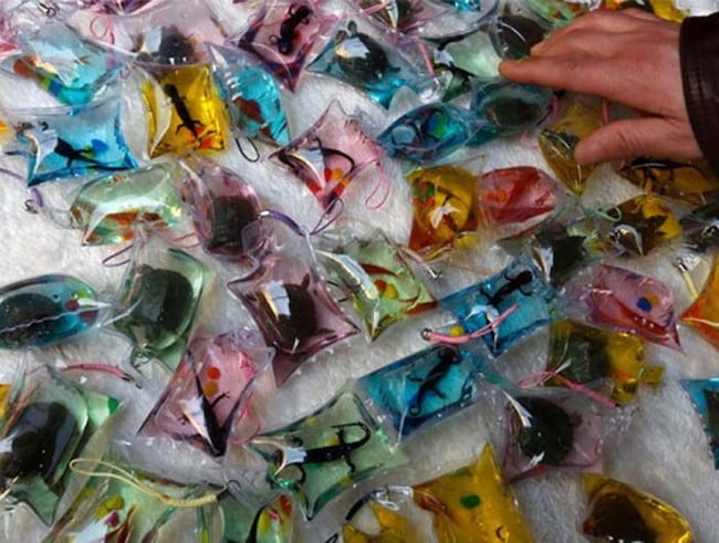 animais marinhos plastificados