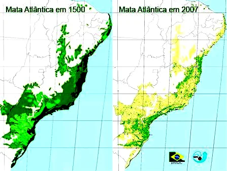  imagem de mapa do Brasil mostrando onde havia mata-atlantica