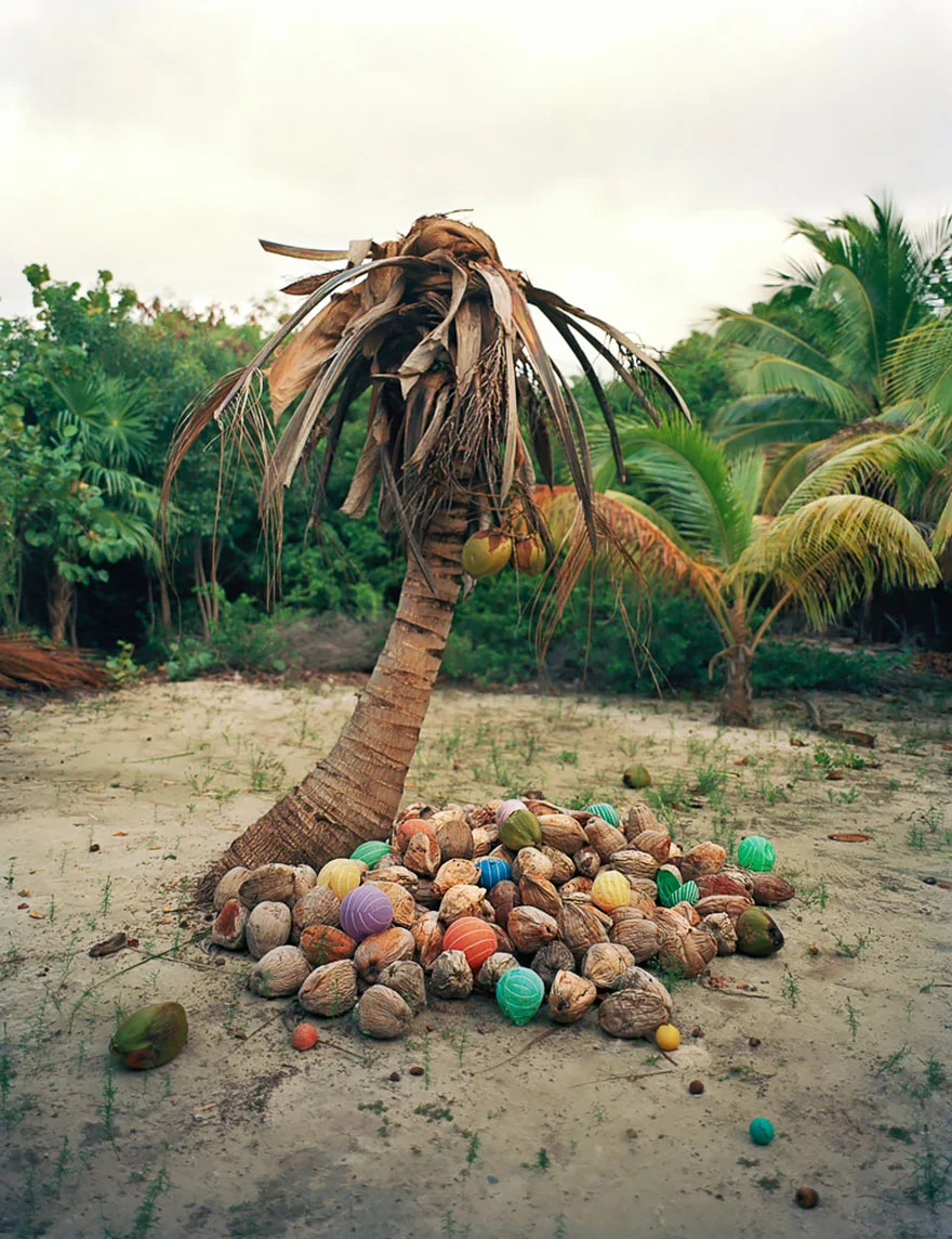 Lixo marinho vira arte, imagem de bexigas e cocos na praia