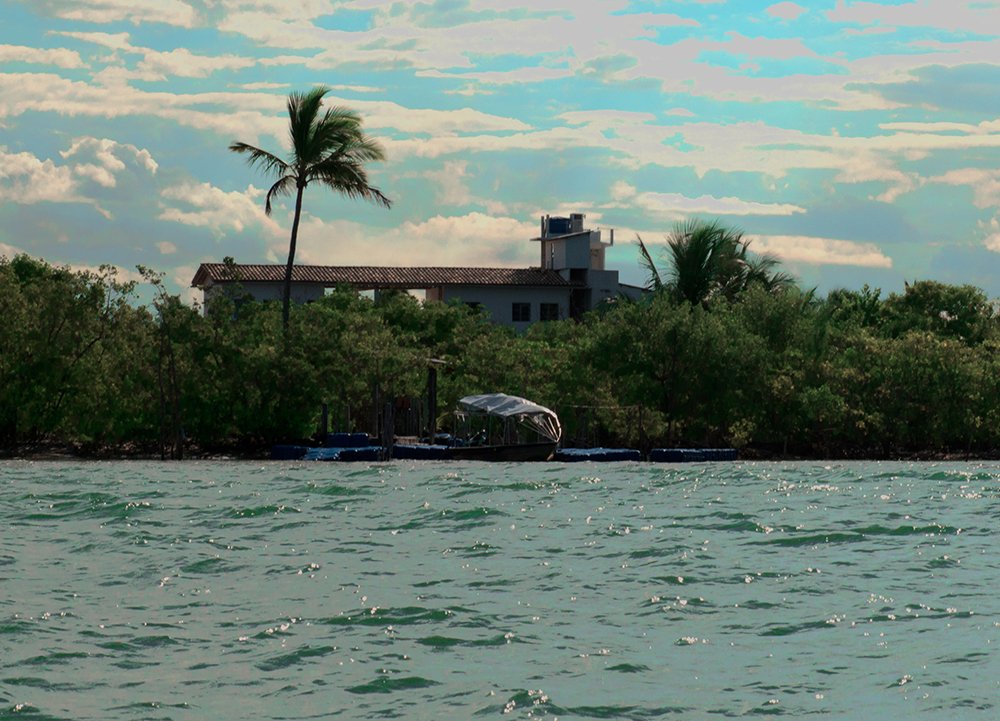  imagem de uma-mansao-no-mangue - Reserva Extrativista de Canavieiras