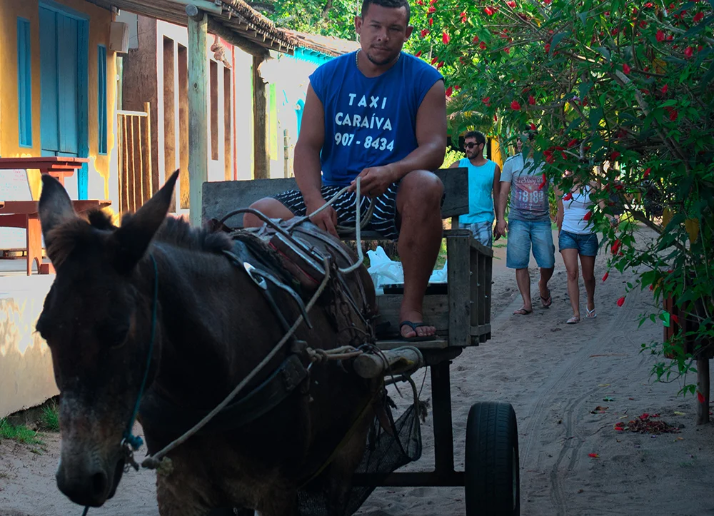 carroça como taxi na Resex Corumbau