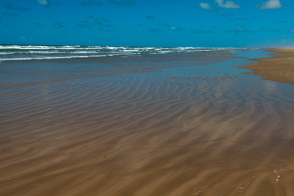 Desova de tartarugas na Praia do Peba - APA de Piaçabuçu