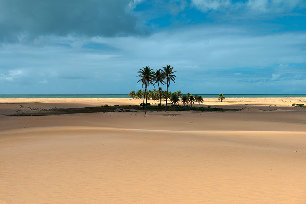 praia e duna do peba na Área de Proteção Ambiental de Piaçabuçu