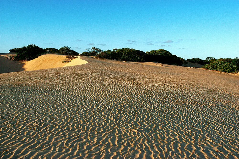 dunas e restingas na Área de Proteção Ambiental de Piaçabuçu