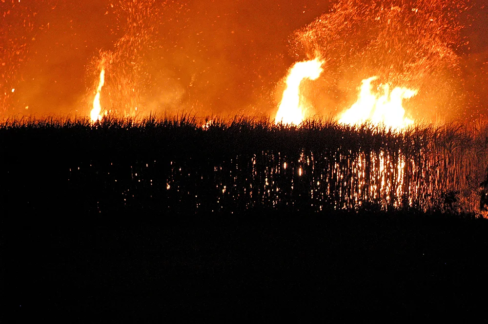 queimada da cana de açúcar na Resex Extrativista Acaú-Goiana