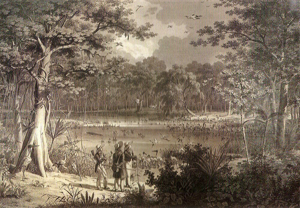Lagoa nas margens do São Francisco, Viagem pelo Brasil, Spix e Martius 1828-1831.