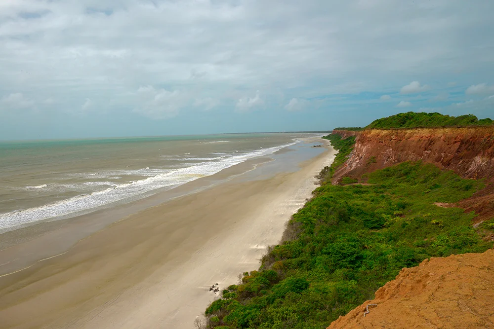 Área de Relevante Interesse Ecológico e Área de Proteção Ambiental do Mamanguape - Falésias, mata atlântica, e praia do Oiteiro