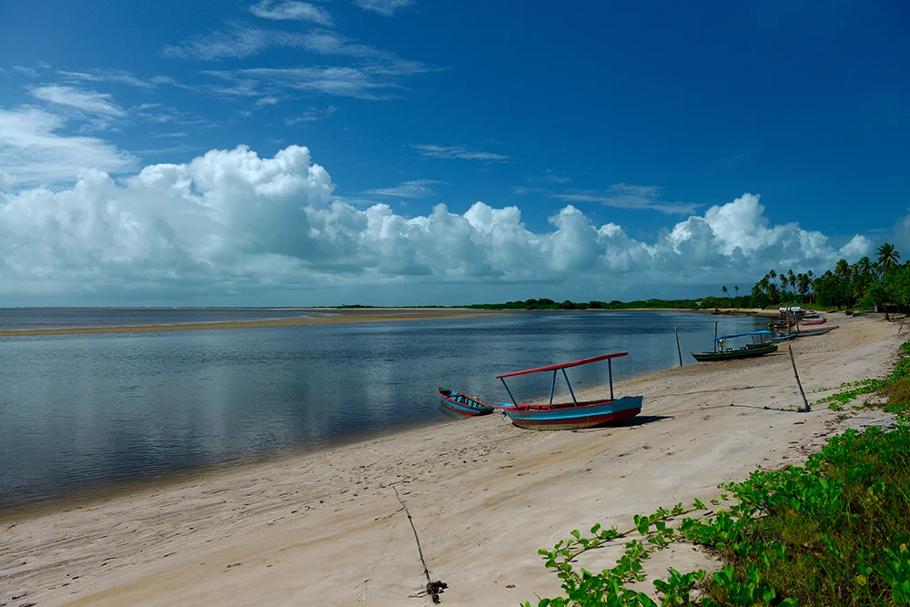 Estuário de Mamanguape