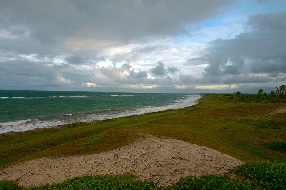 dunas fixas do litoral norte da Paraíba