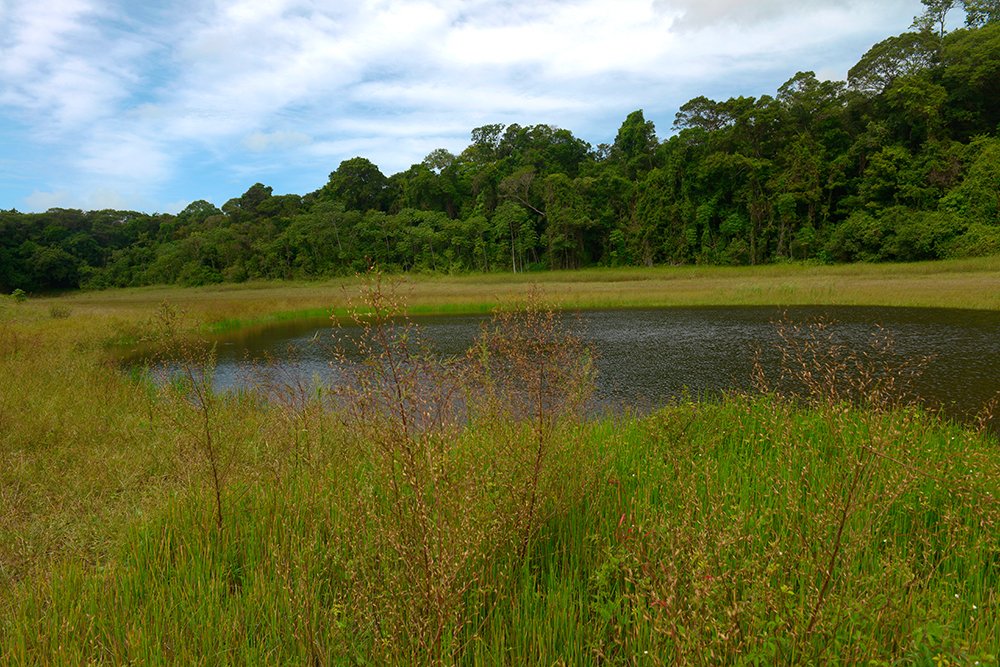  lagoa na Área de Relevante Interesse Ecológico e Área de Proteção Ambiental do Mamanguape