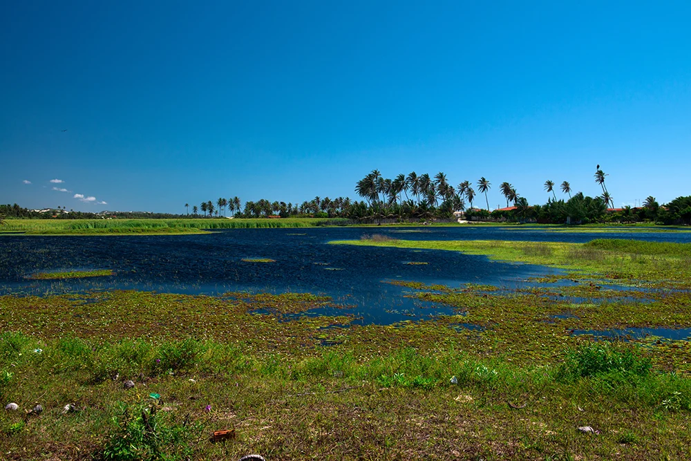  lagoa na Reserva Extrativista do Batoque