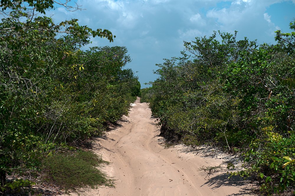 A estrada para chegar nas dunas a partir de Barreirinhas