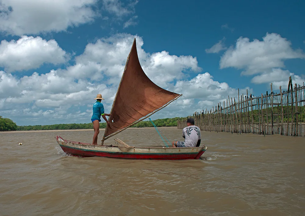  pescadores em curiaca com vela armada na Reserva Extrativista de Caeté-Taperaçu