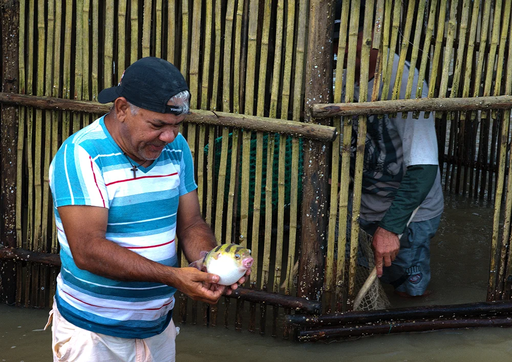  pescador no cerco - Resex de Caeté-Taperaçu