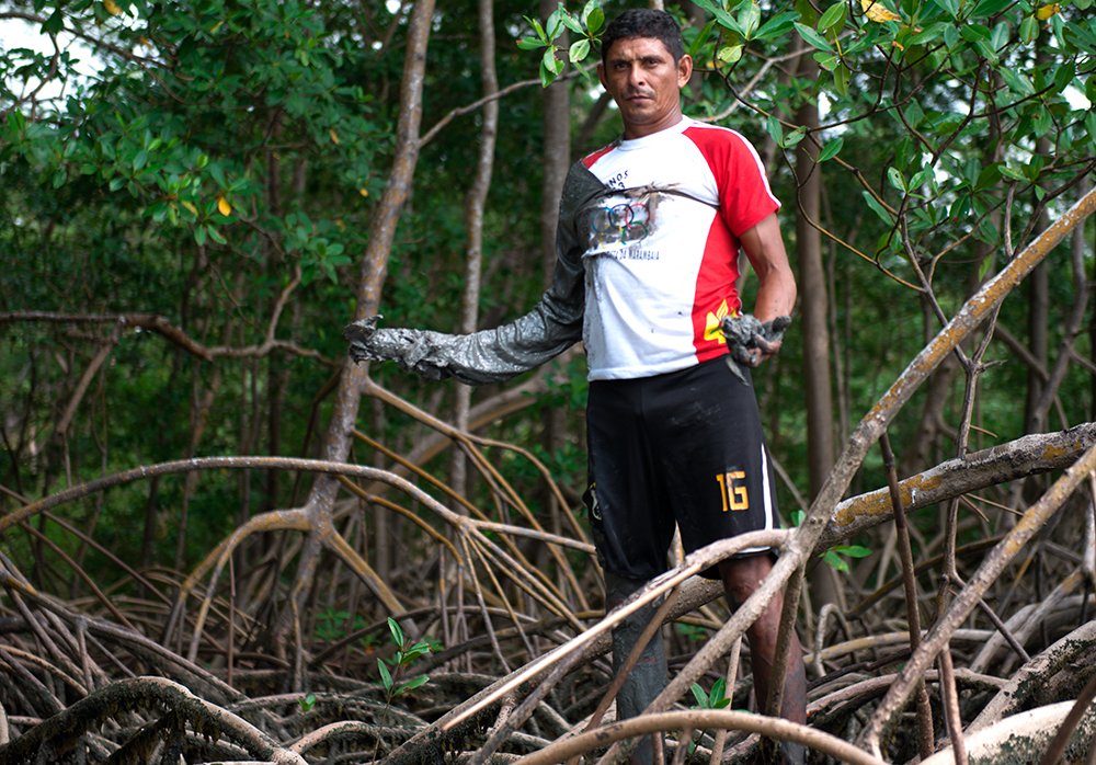 catador no mangue na Reserva Extrativista Mãe Grande de Curuçá