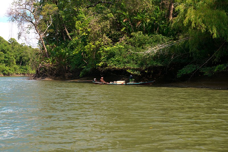  rede-na Reserva Extrativista de Soure, Ilha do Marajó