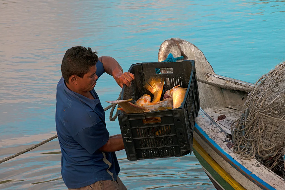 imagem de -pescador-e-caixa de peixes na Reserva Extrativista de Cururupu