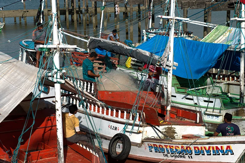  imagem de barcos-de-pesca na ilha do Marajó