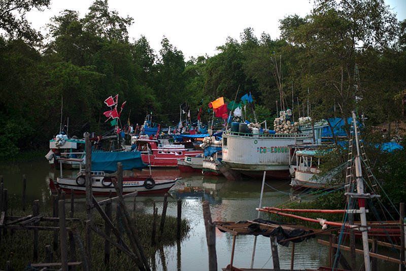  barcos pesqueiros na Reserva Extrativista de Soure, Ilha do Marajó