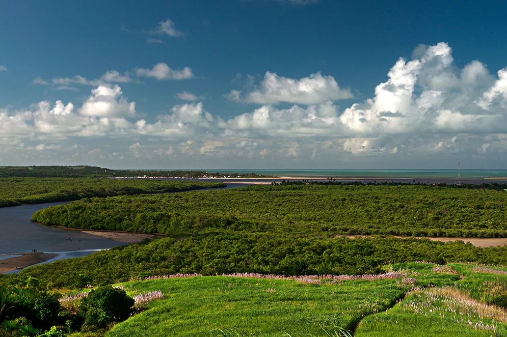 manguezal na APA Costa dos Corais, parte II, e Resex Acaú-Goiana