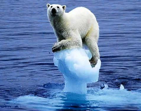 COP 21 - entenda