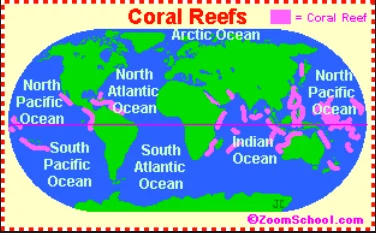 imagem de mapa mostrando a distribuição de corais e sua importância no mundo