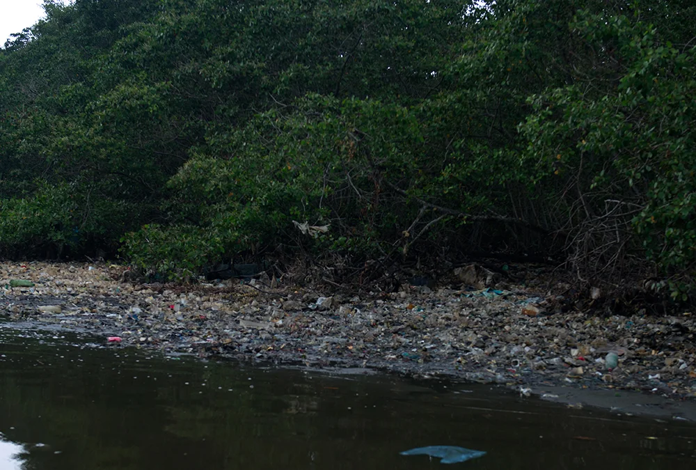  imagem de manguezal poluído na baía de guanabara