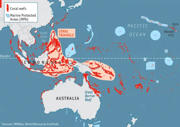 Corais ameaçados, mapa mostra o triângulo dos corais