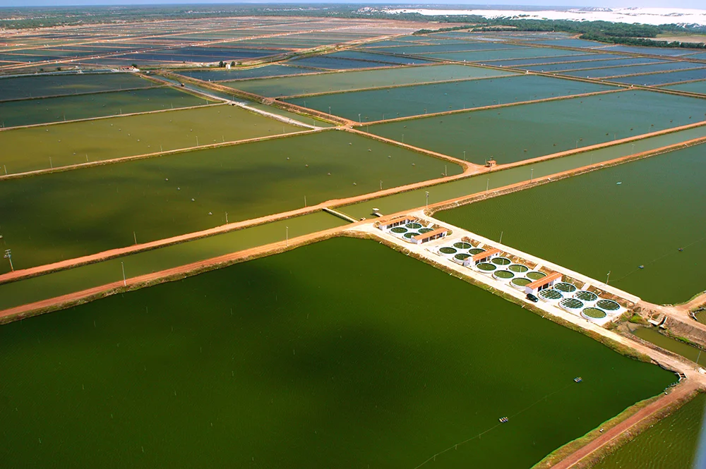 imagem do rio Jaguaribe, CE, poluído