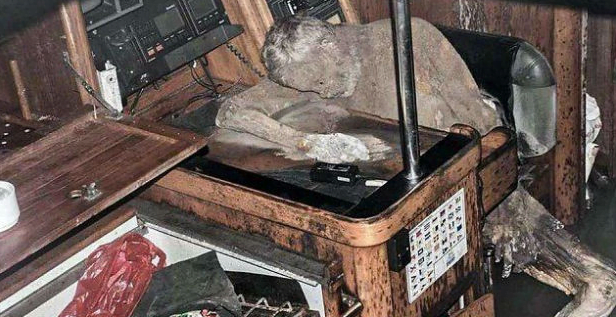 morte misteriosa a bordo, imagem do corpo de velador mumificado