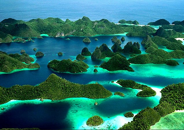 Corais de Raja Ampat: show da natureza, imagem das ilhas Raja Ampat