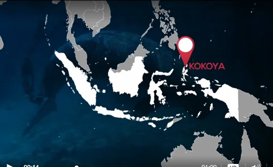  mapa da ilha de kokoya, indonésia, onde encontraram Mamíferos marinhos em cativeiro,