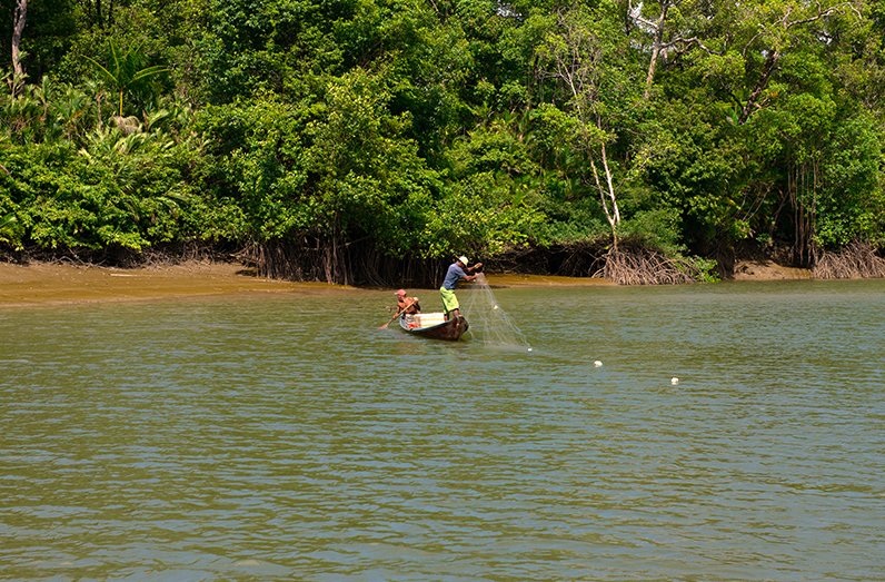 Pesca artesanal: sustentável, ou falácia?, imagem de pescadores com rede em rio