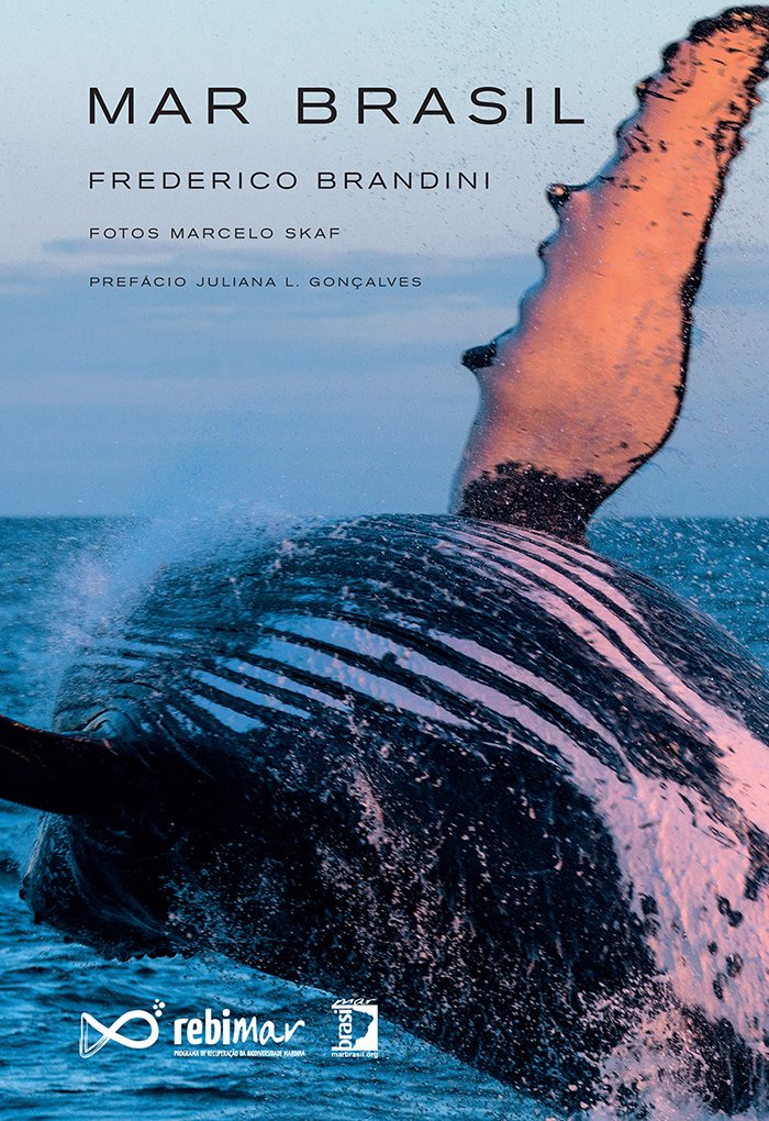 Mar Brasil, de Frederico Brandini, capa de livro mar brasil