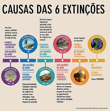 Sexta extinção em massa já está acontecendo – e mais rápido do que se  pensava - ISTOÉ DINHEIRO