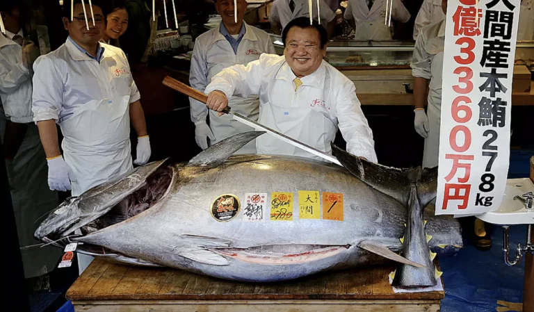 imagem de atum sendo cortado no merca do tókio