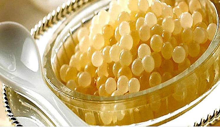  imagem de uma lata de caviar albino