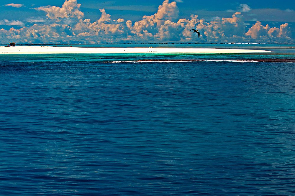 Atol das Rocas, imagem do atol das rocas