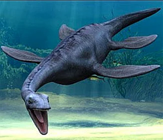 Fóssil marinho, desenho do plesiossauros