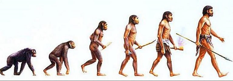 ilustração da evolução humana, do macaco ao homo sapiens