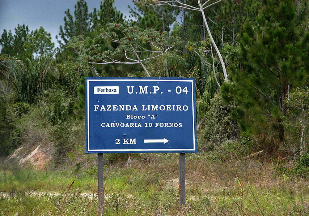 Sul da Bahia, campeão em desmatamento da Mata Atlântica, imagem de placa na estrada