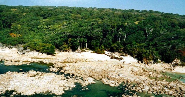  imagem da ilha sentinela do norte, índico, uma ilha perigosa e isolada
