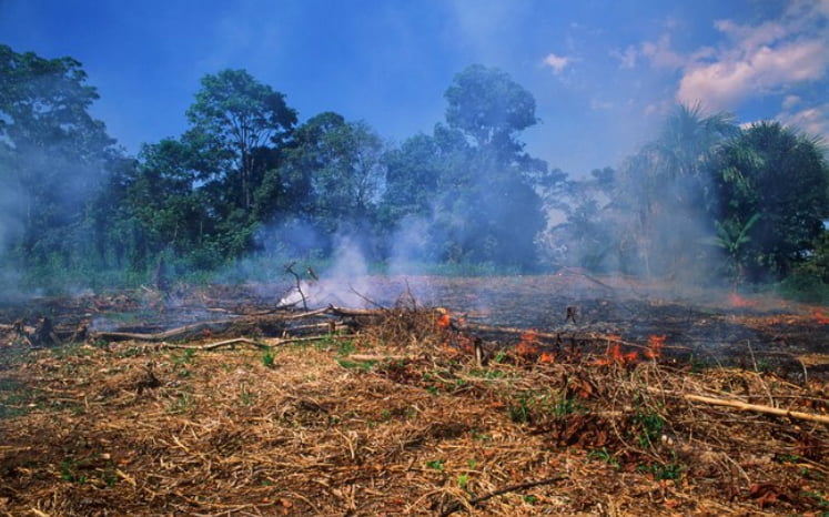 Noruega retalia o Brasil mas também maltrata Amazônia, imagem de desmatamento na amazônia