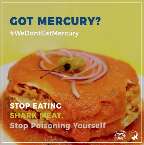 imagem de cartaz informando sobre mercúrio em carne de tubarão
