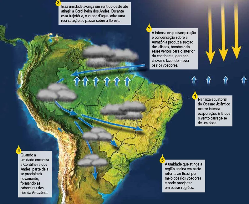 diagrama mostrando a formação de rios voadores na amazônia