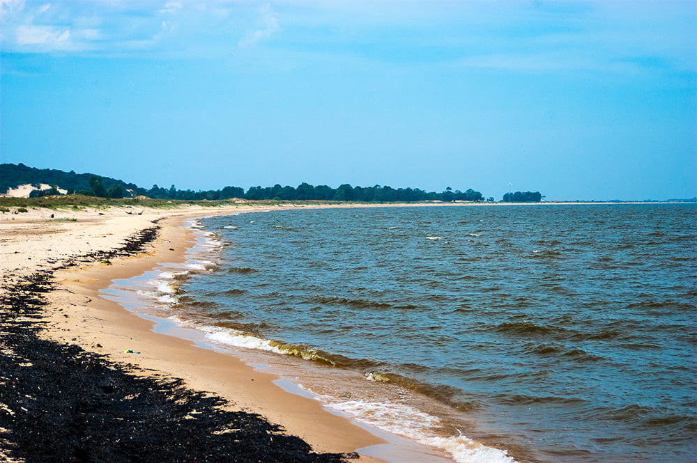 imagem de praia do guaíba com mexilhão- dourado