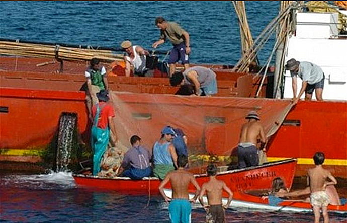 imagem da pesca da Sardinha símbolo de Portugal