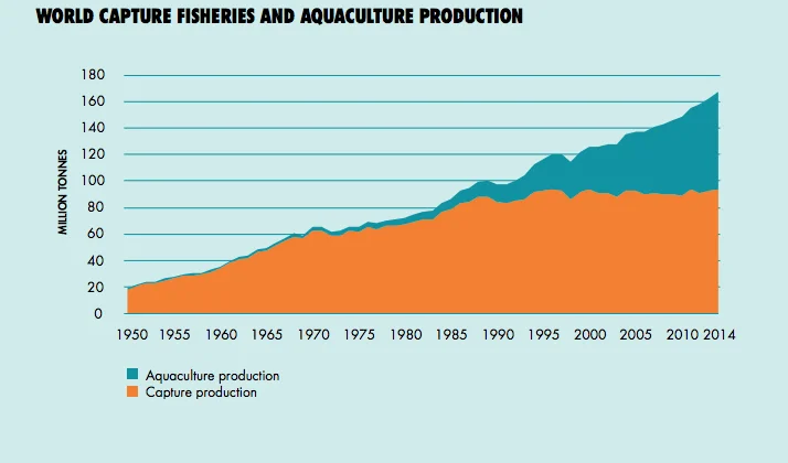 gráfico do volume de pesca no mundo, da FAO